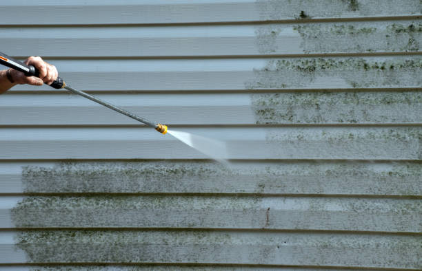 Best Post-Flood Mold Remediation in New Martinsville, WV